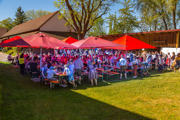 Thumbnail: _JA 31670 Maifest Hohenried 2026.jpg